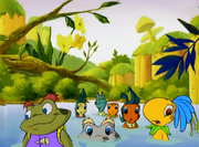 Toad Hollow toads