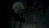 Reflection.gif