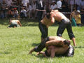 Thumbnail for version as of 15:29, tenpo mun pi nanpa tu wan 23, 2007