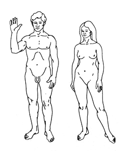 File:jan.png