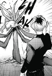 Haise Sasaki pierces Nishiki