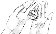 Regalo di compleanno per Touka.png