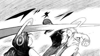 Kuro et Shiro vs Shu.jpg