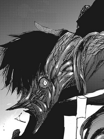 Datei:19.png