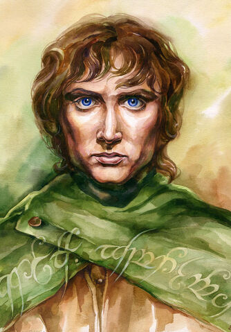 Bestand:Frodo Ballings-1-.jpg