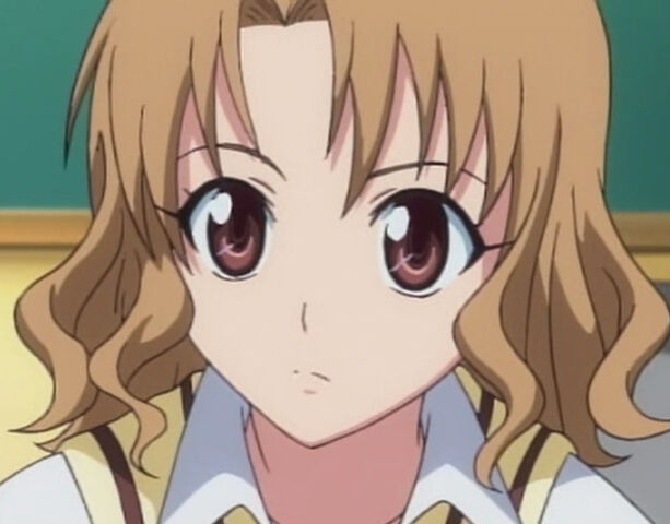 Archivo:Risa 3.jpg