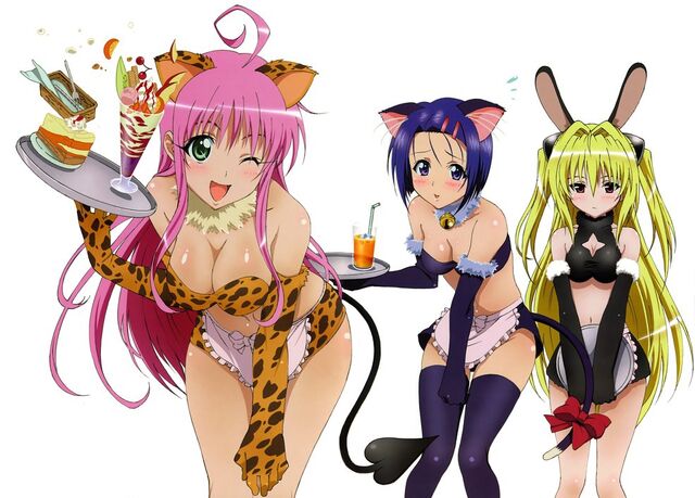 Archivo:Picture-standard-anime-to-love-ru-to-love-ru-picture-178228-suemura-preview-1f04bd81.jpg