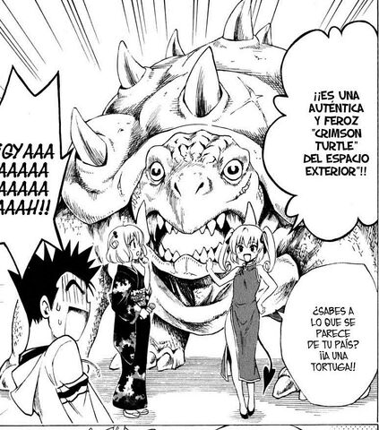 Archivo:Crimson Turtle.jpg