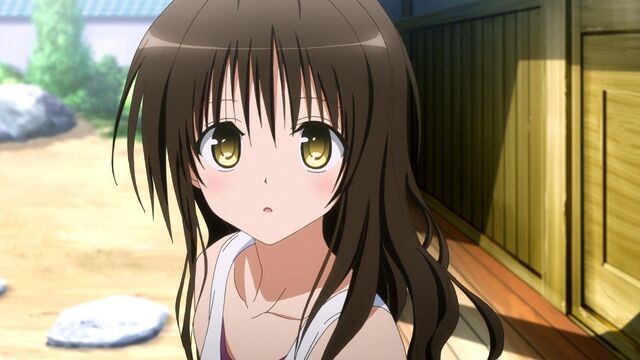 Archivo:Mikan 7.jpg