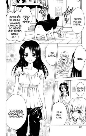 Archivo:Akiman.jpg