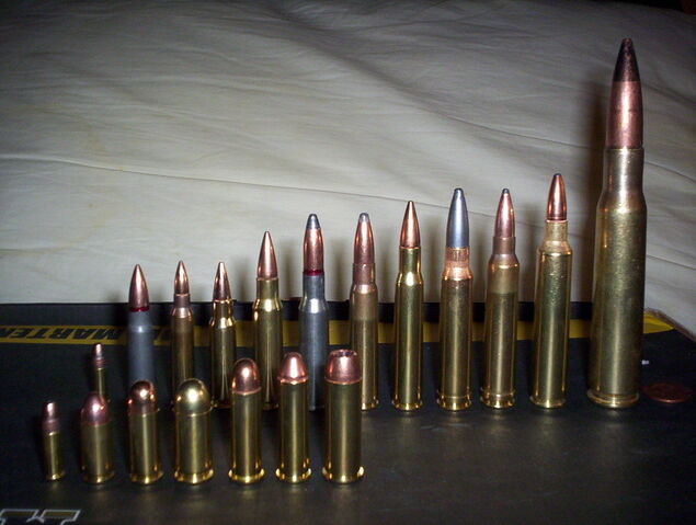 File:Ammo Selection1.jpg