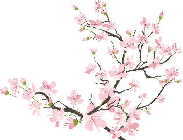 File:Tumblr ml5e24CsVY1ral65ho1 1280.gif