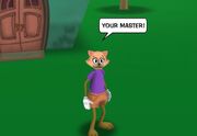 Jellyroll the cat