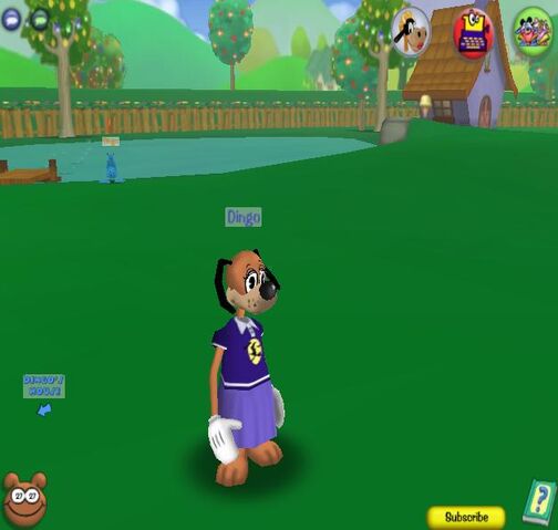 File:Dingo .jpg