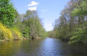 File:Unknown-2.jpg