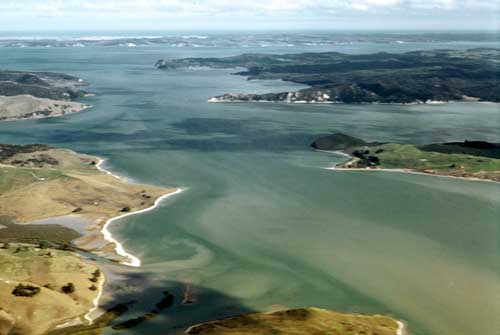 File:Kaipara harbour.jpg