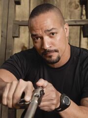 Jermaine-finks-top-shot