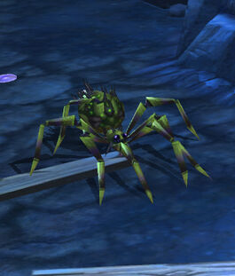 Shadow Recluse