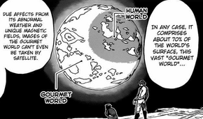 TheWorldOfToriko (1)