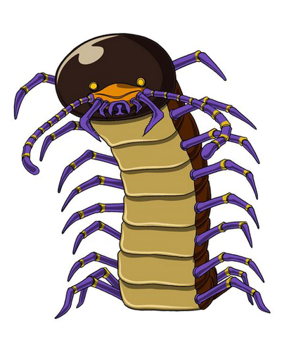 File:Giant Millipede GM.png