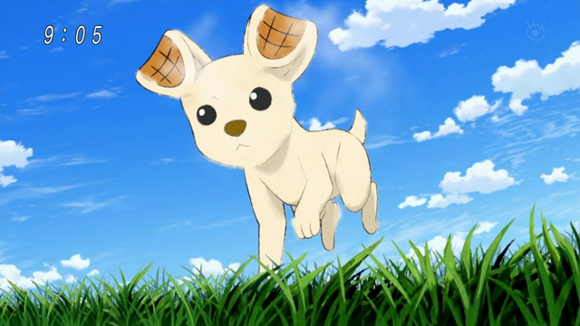 Plik:Gofrowy Chihuahua.png