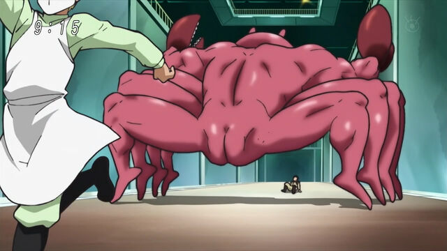 File:Muscle Crab back.jpg