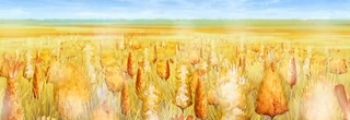 FryeFields