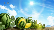 Sweetermelon Potatoes
