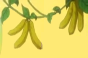 BananaCucumber