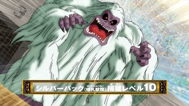 File:Silverback 4.jpg