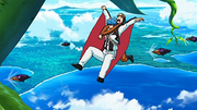 DrillBirdsAttack