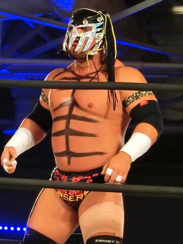 File:Cyber Kong.jpg