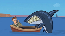Don shark food