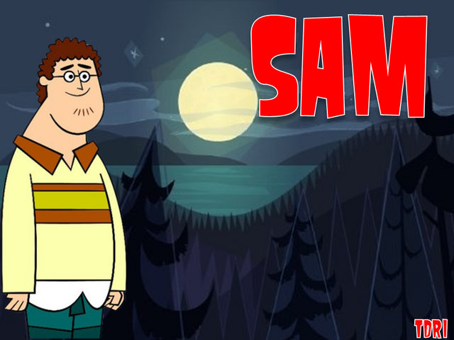 File:Sam TDRI sheet.png