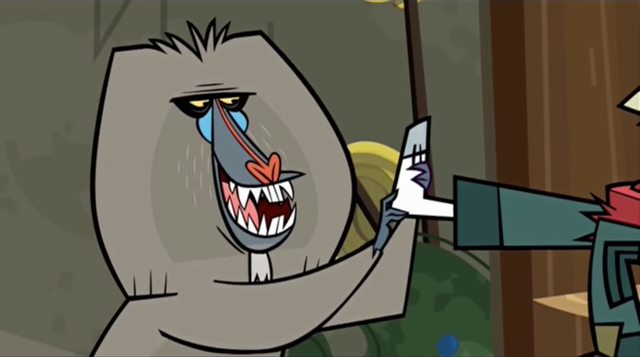 File:Africa baboon foot massage.png
