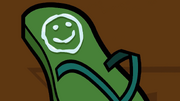 Shoe