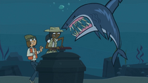 Shasmine shark