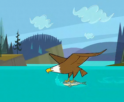 Eagle