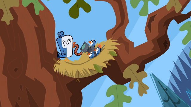 File:Birdswithcamera.png