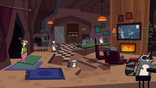 RaccoonDen