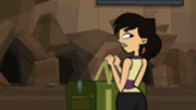 Skybag.png