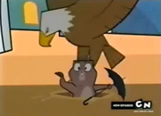 Aguila1.png