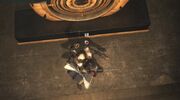 Torres death