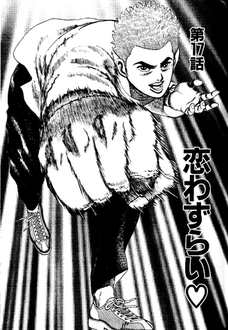 File:Chapter 17 cover.png