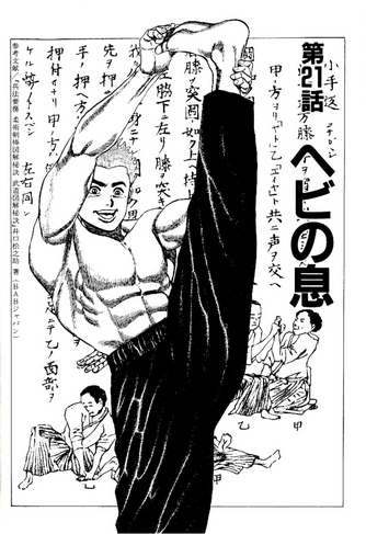File:Chapter 21 cover.png