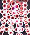 Thumbnail for version as of 07:02, September 17, 2011