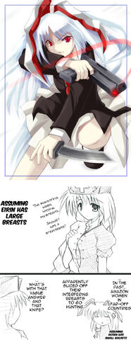 File:Ends of the zigzag eirin breasts.jpg