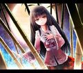 Thumbnail for version as of 12:24, April 17, 2013
