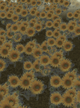 Th09GardenoftheSun.png