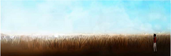 Grassy field